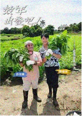 8848电影电视剧在线音乐综艺声生不息